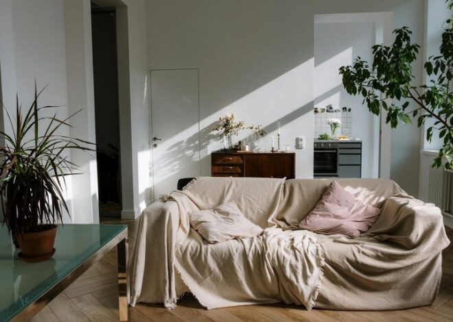 Tips for Creating a Cozy and Inviting Living Space on a Budget
