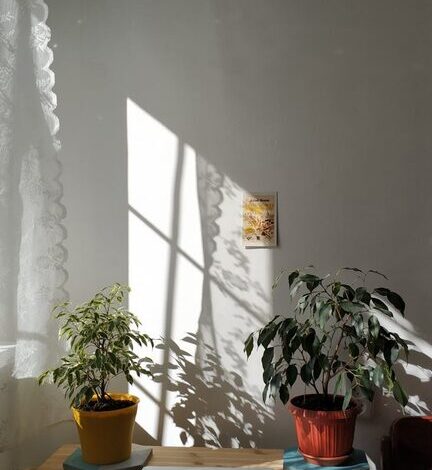 Tips for Creating a Relaxing Home Workspace