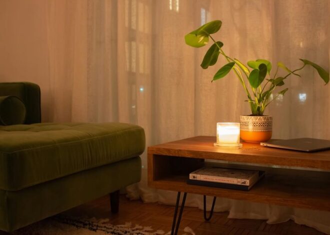 Tips for Creating a Cozy and Inviting Living Space on a Budget